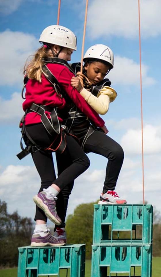 Two Cubs in helmets and harnesses balancing on a tower of crates they have stacked
